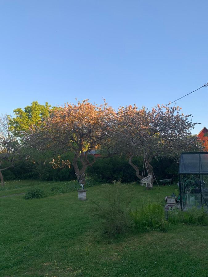 Martebo Bed & Breakfast Tingstäde Екстериор снимка